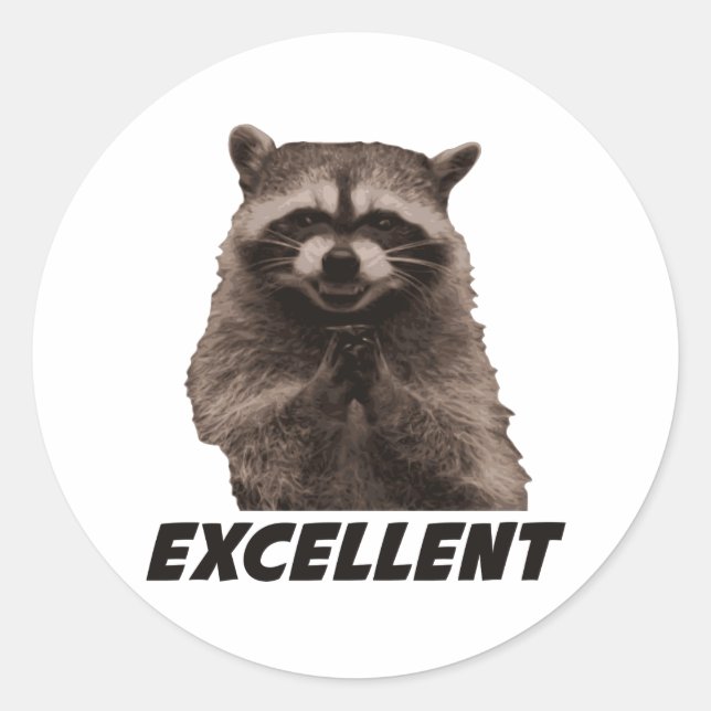 Excellent Evil Plotting Racoon Classic Round Sticker (Front)