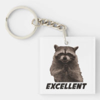 Excellent Evil Plotting Racoon