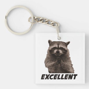 Excellent Evil Plotting Racoon Key Ring