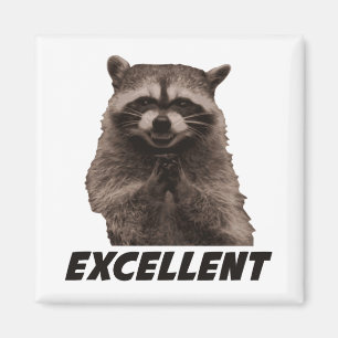 Excellent Evil Plotting Racoon Magnet