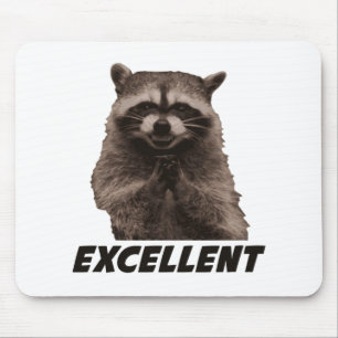 Excellent Evil Plotting Racoon Mouse Mat