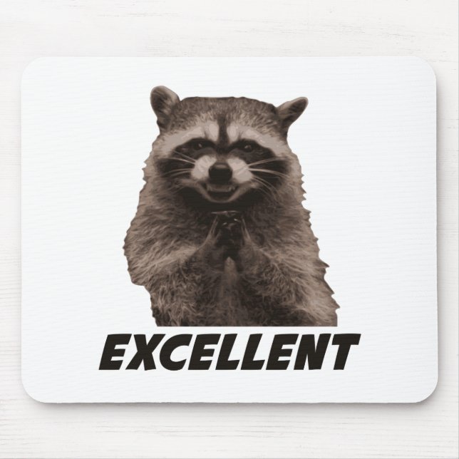 Excellent Evil Plotting Racoon Mouse Mat (Front)