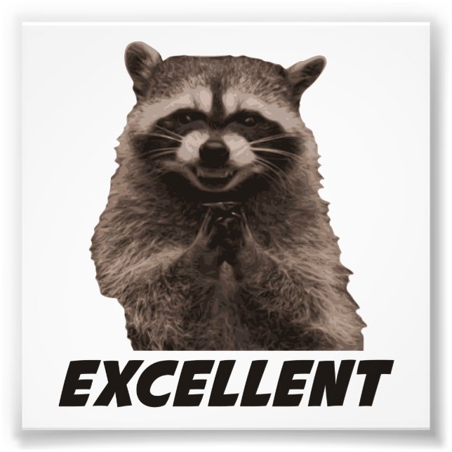 Excellent Evil Plotting Racoon Photo Print (Front)