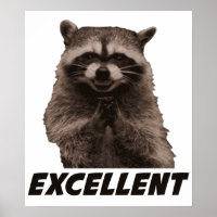 Excellent Evil Plotting Racoon