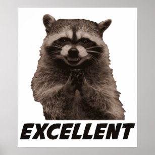 Excellent Evil Plotting Racoon Poster