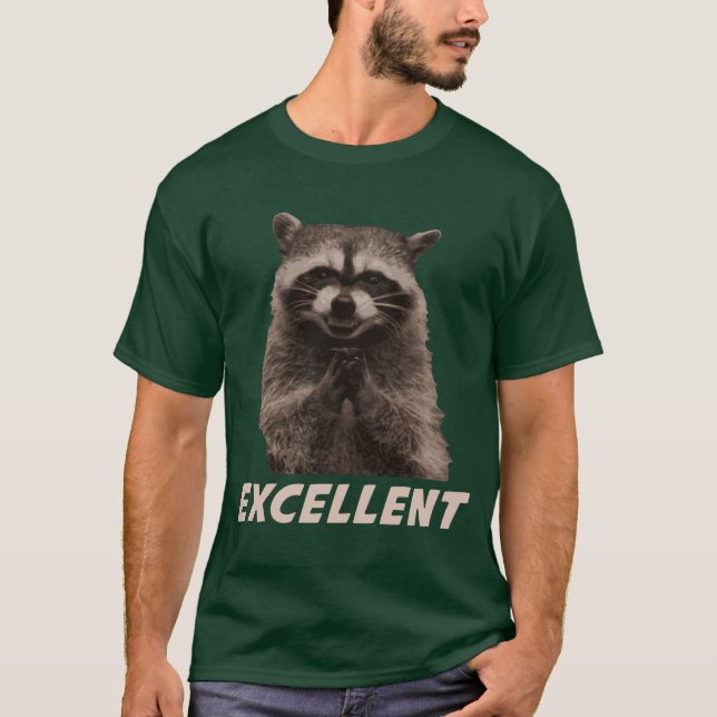 Excellent Evil Plotting Racoon T-Shirt (Front)