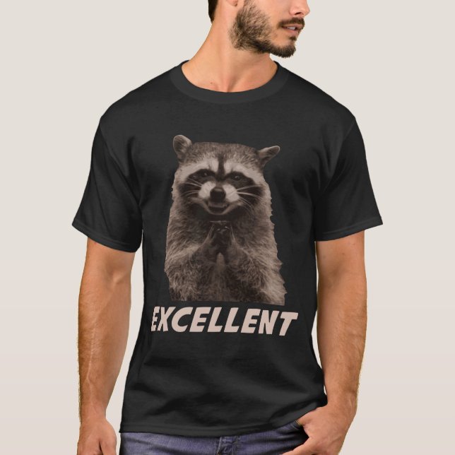 Excellent Evil Plotting Racoon T-Shirt (Front)