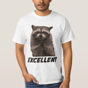 Excellent Evil Plotting Racoon T-Shirt