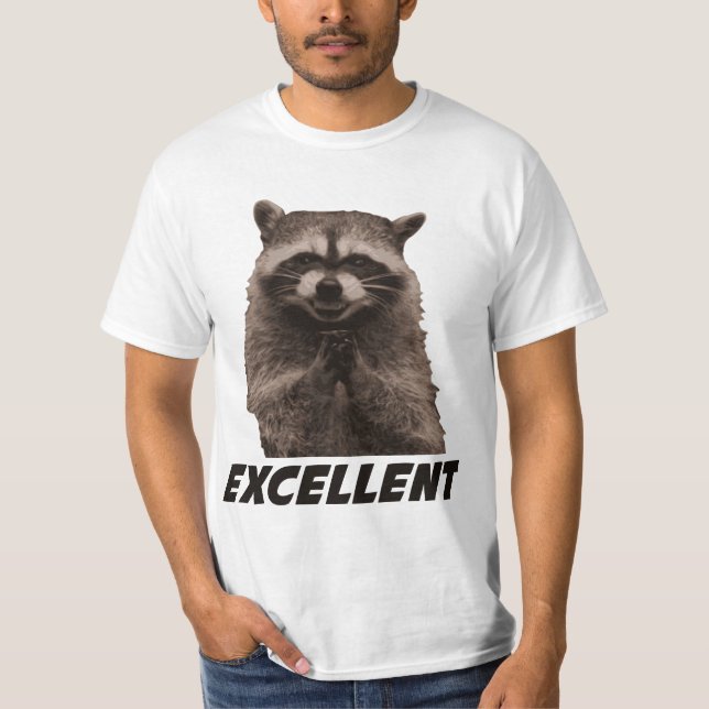 Excellent Evil Plotting Racoon T-Shirt (Front)