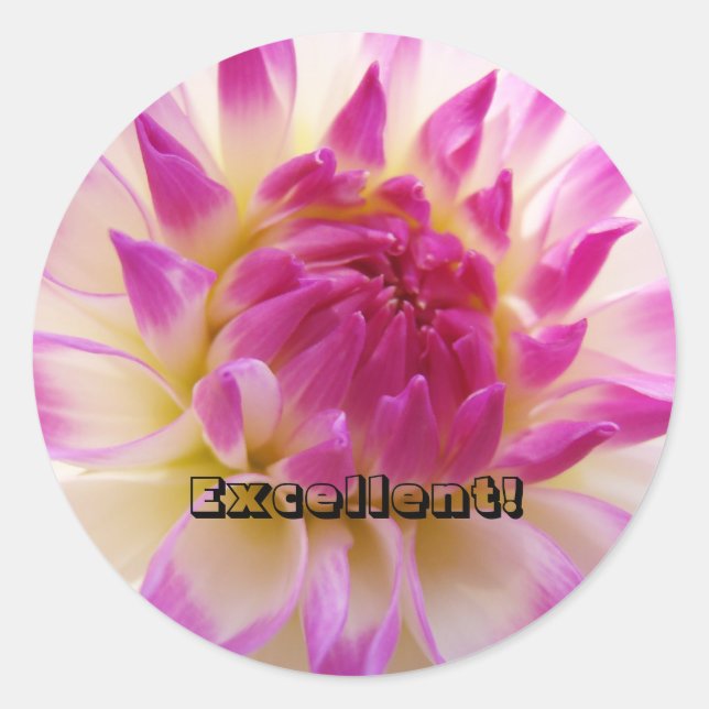 Excellent! stickers custom Pink Dahlia Flower (Front)