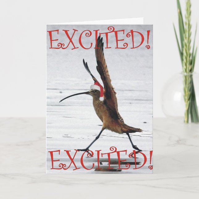 Excited Curlew Christmas Holiday Card (Front)