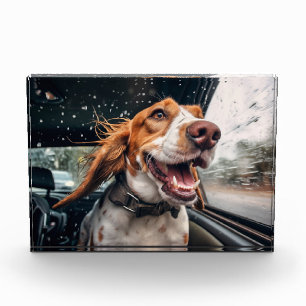 Excited Dog on Rainy Car Ride Art Print Photo Block
