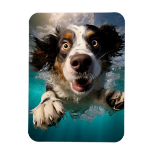 Excited Dog Swimming Underwater Design Magnet