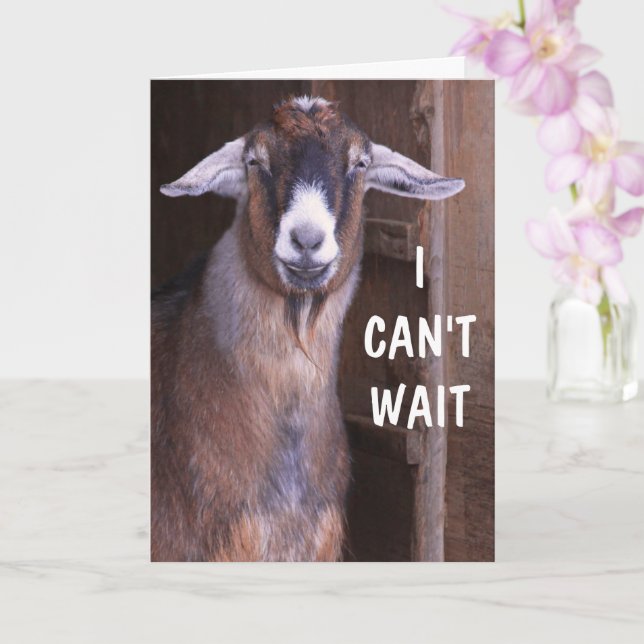 Excited Goat Happy Birthday Card (Orchid)