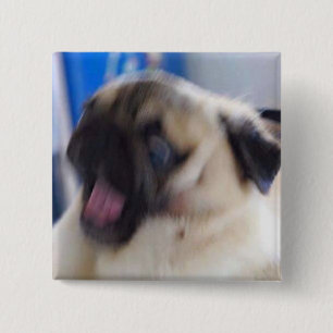 excited puggo pin