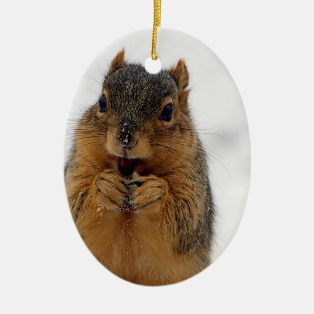 Excited Squirrel Ceramic Tree Decoration (Front)