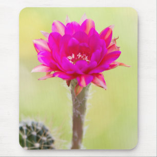 Exciting Antimatter Cactus Bloom Mouse Mat