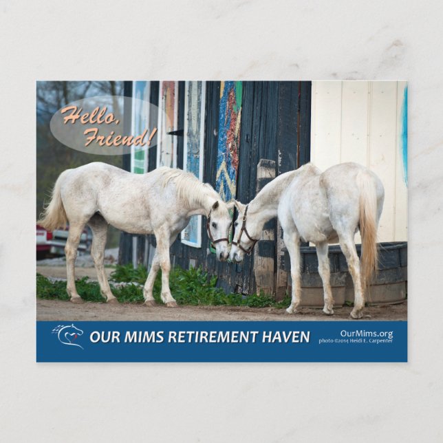 Exciting Bucket & Bel's Starlet postcard (Front)