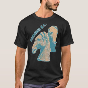 EXCLUSIVE Best Selling Fontaines Dc Classic T-S T-Shirt
