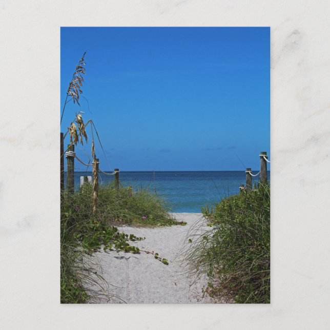 Exclusively Captiva Postcard (Front)
