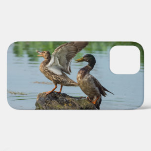 Excuse Me iPhone Case