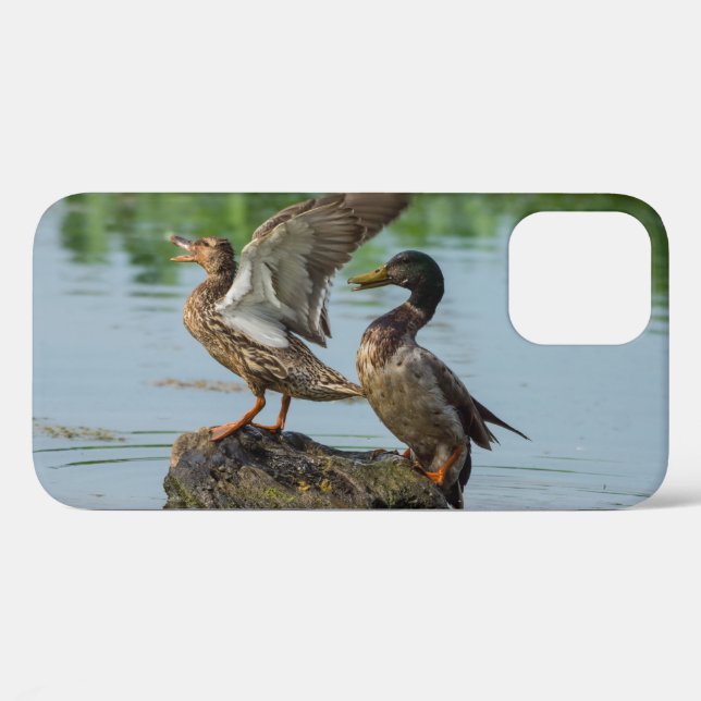 Excuse Me iPhone Case (Back (Horizontal))