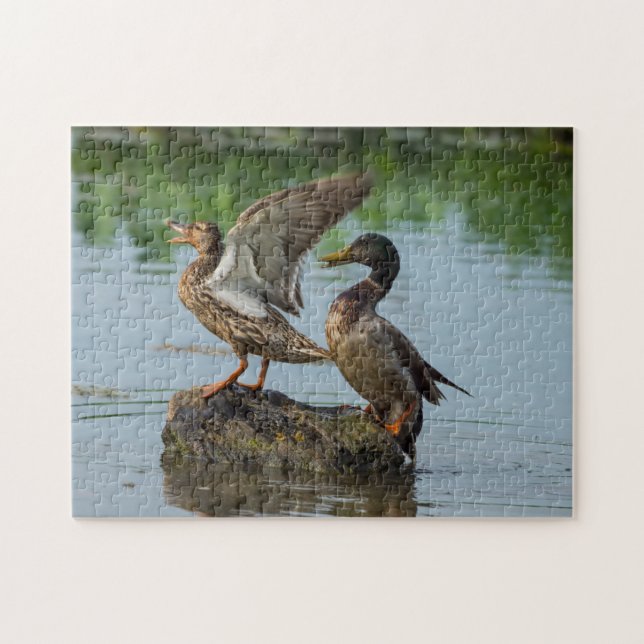 Excuse Me Jigsaw Puzzle (Horizontal)