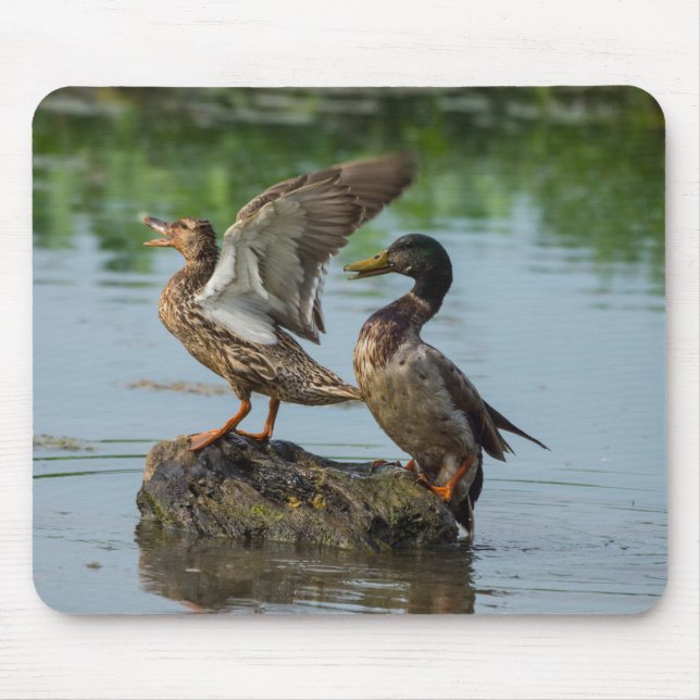 Excuse Me Mouse Mat (Front)