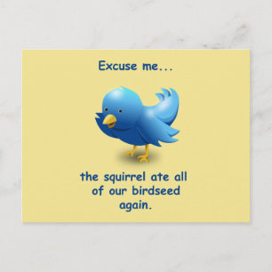 Excuse me....the squirrel ate all of our birdseed postcard