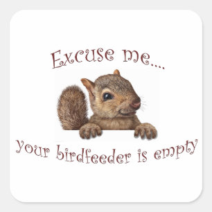 Excuse me...your birdfeeder is empty square sticker