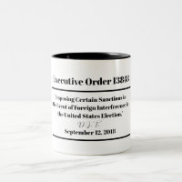 Executive Order 13848