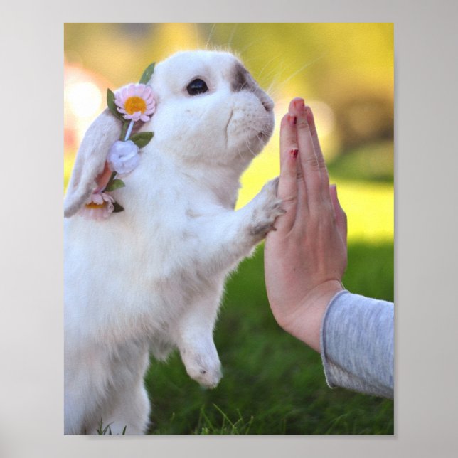 Exempel the bunny poster (Front)