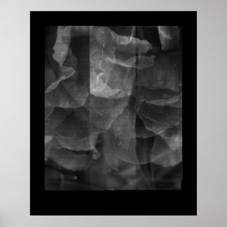 Exercise in Continuity Poster