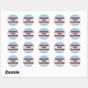 Exercise Your Franchise Stickers TRANS PRIDE