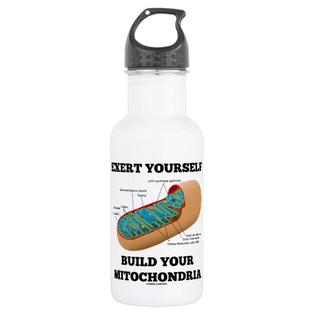 Exert Yourself Build Your Mitochondria 532 Ml Water Bottle (Front)