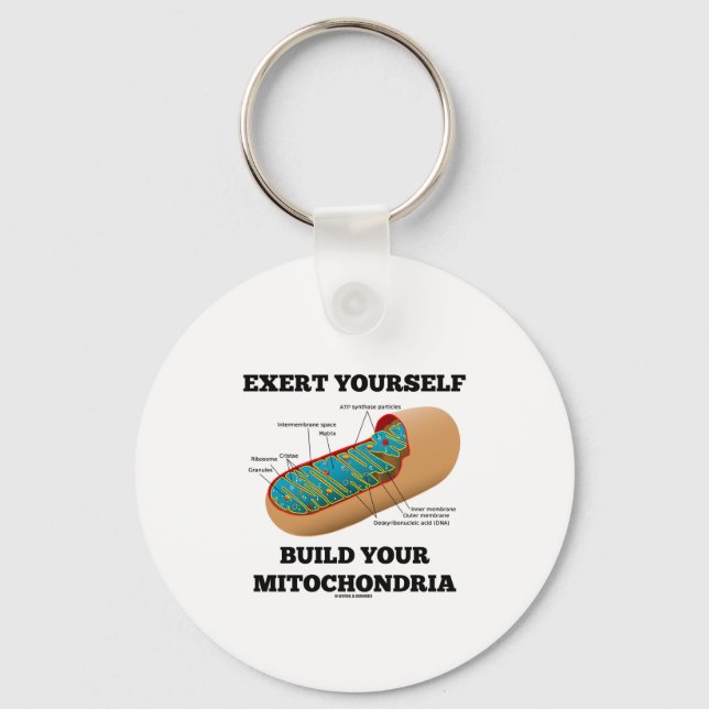 Exert Yourself Build Your Mitochondria Key Ring (Front)