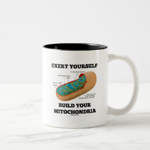 Exert Yourself Build Your Mitochondria Two-Tone Coffee Mug