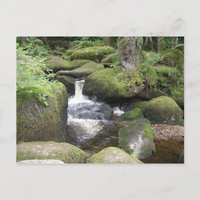 exeter 2009 105 postcard (Front)