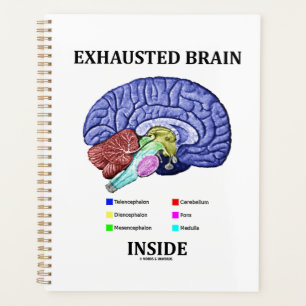 Exhausted Brain Inside Anatomical Brain Humour Planner