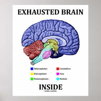 Exhausted Brain Inside (Anatomical Brain Humour) Poster