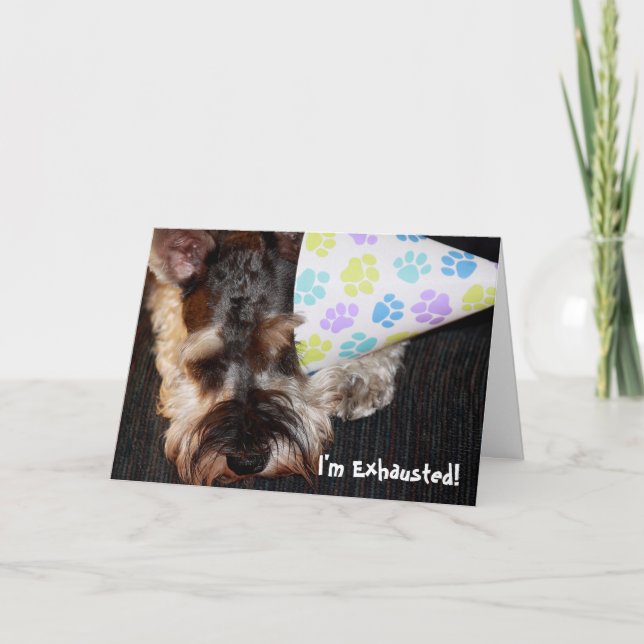 Exhausted Puppy with Party Hat Birthday Card (Front)