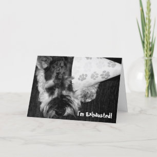 Exhausted Puppy with Party Hat Birthday Card