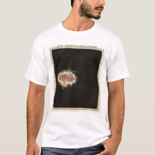 Exhibiting The Empire of Alexander 323 BC T-Shirt