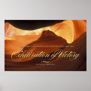 Exhiliration of Victory Motivational Poster