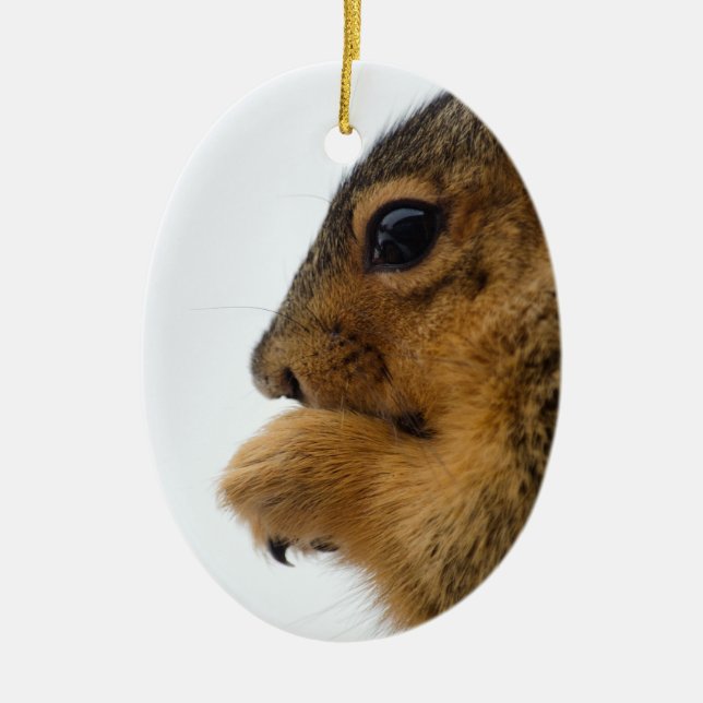 Existential Squirrel Ceramic Tree Decoration (Front)