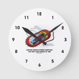 Existing Under Extreme Conditions Very Long Time Round Clock