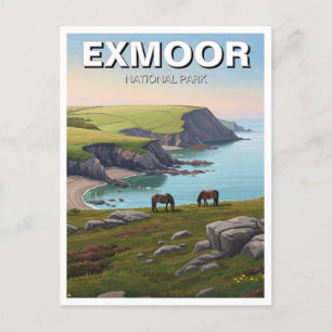Exmoor National Park Pony Travel Postcard