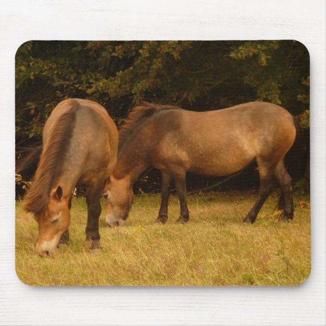 Exmoor Ponies Mousepad (Front)