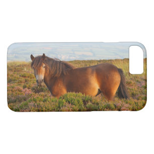 Exmoor pony, horse, Somerset, England iPhone 8/7 Case