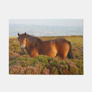 Exmoor pony, horse, Somerset, England Doormat